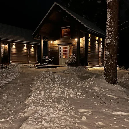 Gaujas Plostnieku Namini Holiday home *