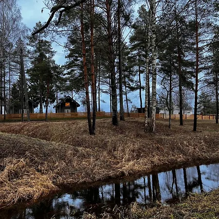 Gaujas Plostnieku Namini Strenci