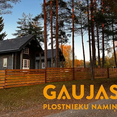Gaujas Plostnieku Namini Holiday home *