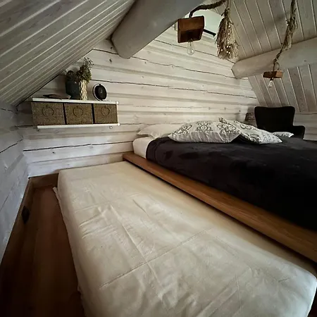 Gaujas Plostnieku Namini Holiday home *