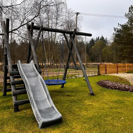 Gaujas Plostnieku Namini Holiday home *